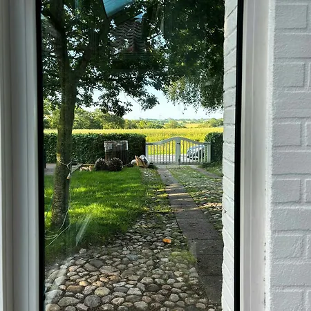 Summerhouse Near The North Sea And Thy 別荘 *